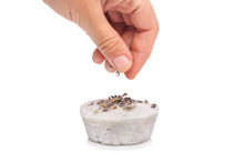 Load image into Gallery viewer, Lavender Natural Solid Shampoo for Normal to Oily Hair with Fractionated Coconut Oil - EU and UK