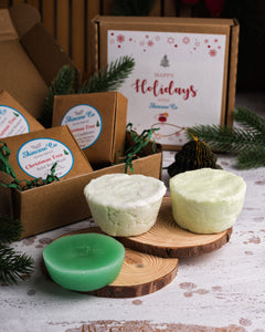 Christmas Tree - Limited Holiday Gift Box (For Normal and Oily Hair) - FREE Singapore Courier!